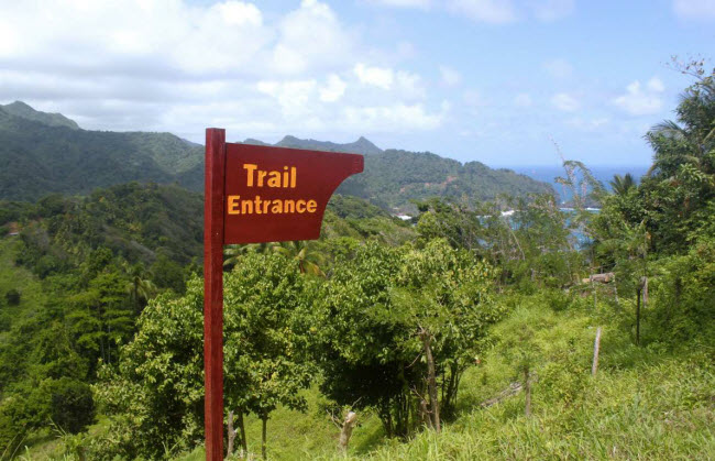 Dominica: Quốc gia vùng Caribbe đón hàng chục tàu du lịch viếng thăm mỗi năm. Hòn đảo này đã địa điểm lý tưởng dành cho những người thích hoạt động đi bộ đường trường với rừng nhiệt đới nguyên sơ, thác nước và kỳ quan địa nhiệt.