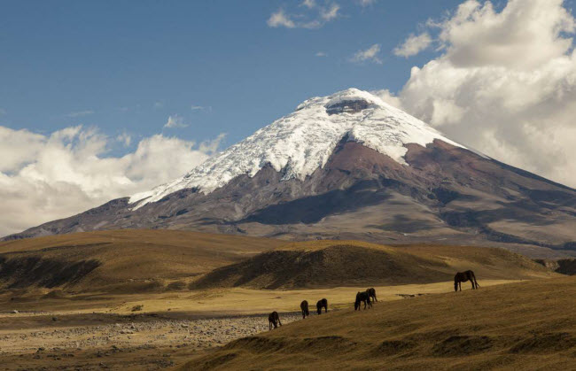 Ecuador: Quốc gia Nam Mỹ đã chia hàng triệu USD vào tuyến đường sắt lịch sử, chạy qua Cotopaxi, một trong những ngọn núi lửa cao nhất thế giới và kết nối thủ đô Quito với thành phố cảng Guayaquil.