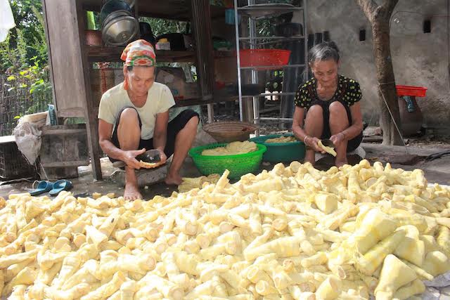 Tới mùa, rủ nhau cơm nắm, cơm đùm lên rừng kiếm tiền từ “lộc rừng” - 3