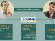 Tài chính - Bất động sản - &quot;Kết hôn&quot; với Thaco, bầu Đức tự tin rót thêm nghìn tỷ vào vườn chuối