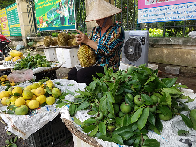 Thứ quả “thần tiên” gắn liền với tuổi thơ 8x, 9x nay được bán với giá &#34;chát&#34; - 1