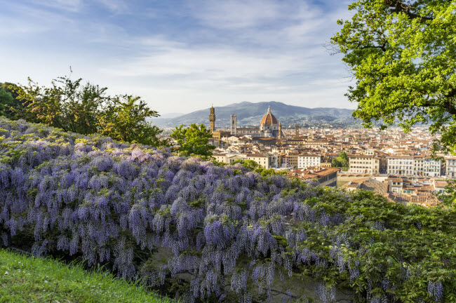 Địa điểm lý tưởng nhất để chiêm ngưỡng vẻ đẹp của thành phố Florence, Italia, là từ khu vườn Boboli.