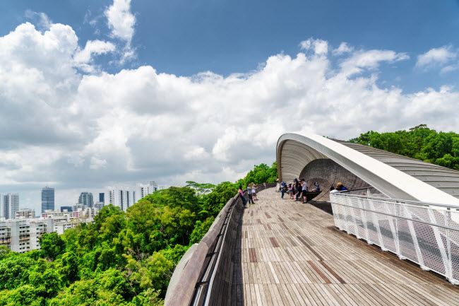 Địa điểm lý tượng nhất để chiêm ngưỡng cảnh đẹp ở Singapore là cây cầu đi bộ Henderson Waves trên đường Henderson.