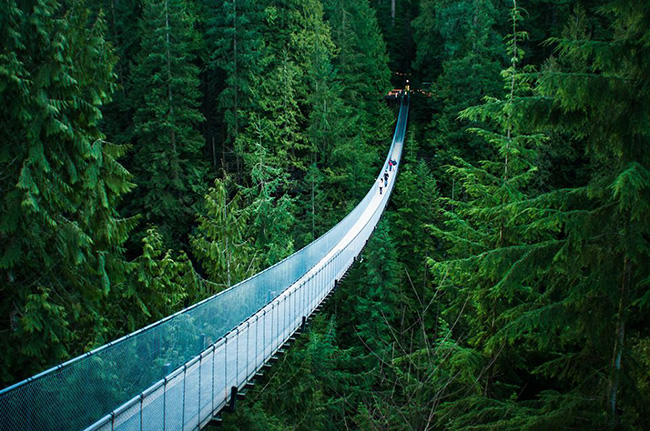 Cầu treo Capilano nằm ở Bắc Vancouver, bên kia sông Capilano. Cây cầu treo này dài 450 feet và cao 230 feet. Đây cũng được coi là một trong những hệ thống treo nguy hiểm nhất trên thế giới.