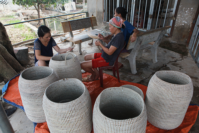 Ảnh: Cảnh hoang tàn sau một tháng ngập lụt ở vùng rốn lũ Chương Mỹ - 5