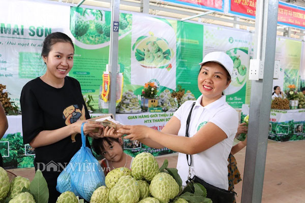 Cận cảnh những trái na khủng nặng trên 1kg có giá 150.000 đồng/quả - 9