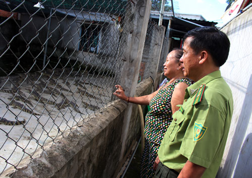 Thương lái gom bán sang Trung Quốc, giá cá sấu bật tăng mạnh - 1