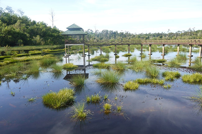 Khách du lịch châu Á ùn ùn kéo đến Brunei để chiêm ngưỡng những địa danh này - 10