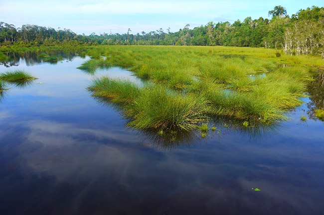 Khách du lịch châu Á ùn ùn kéo đến Brunei để chiêm ngưỡng những địa danh này - 12