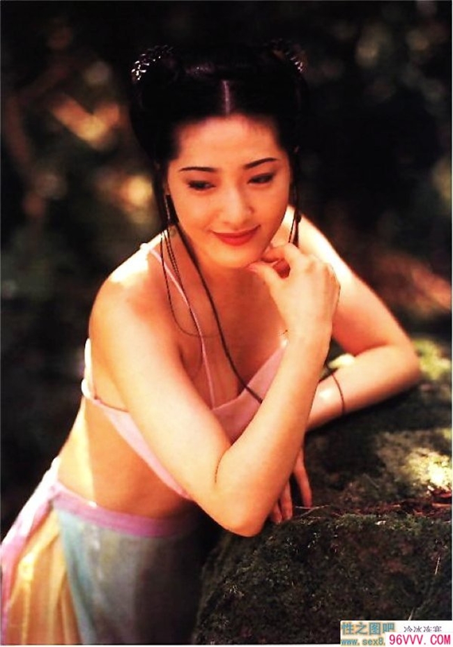 Bộ phim "Kim Bình Mai" 1996 chỉ dài 5 tập, được nhiều khán giả đón nhận. Đây cũng là tác phảm khai thác đời sống trụy lạc của Tây Môn Khánh và 6 bà vợ.