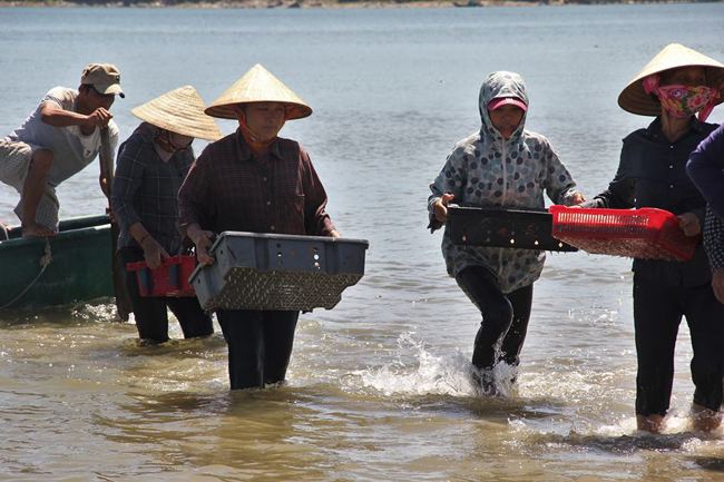 Ngư dân&nbsp;đưa lên bờ bán cho các thương lái.