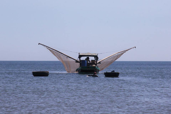 “Mỗi ngày, một bè đánh bắt được khoảng 100 – 300kg. Với giá cả bây giờ sẽ thu về từ 4&nbsp;đến 6 triệu đồng/ngày” – ông Lộc cho biết. Cũng theo ông Lộc, trừ chi phí, ngư dân có thể kiếm được từ 30 – 40 triệu đồng/ tháng.