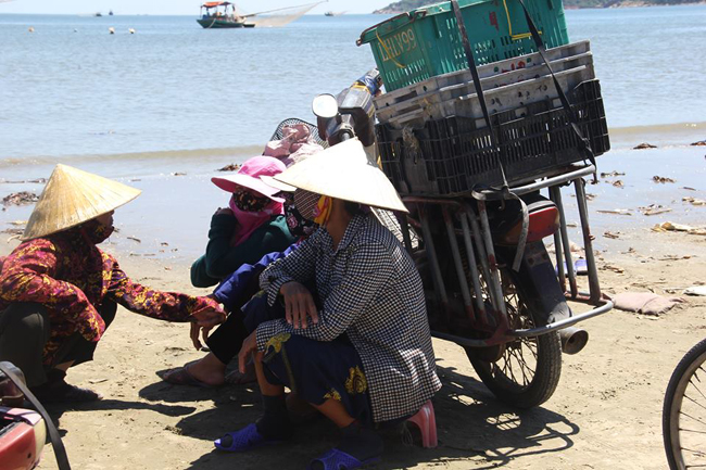 Sau khi ruốc được đưa vào bờ, tiểu thương đã chờ&nbsp;sẵn và mua toàn bộ số ruốc này.