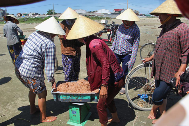 Cân ruốc bán cho thương lái.