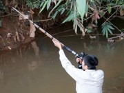 Pháp luật - Truy tìm nhóm thợ săn dùng súng tự chế bắn một kiểm lâm bị thương