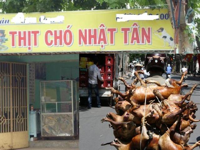 Dấu tích “kinh đô thịt chó” Nhật Tân xưa ở Hà Nội