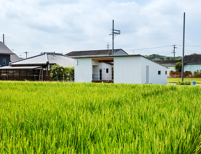 Vào mùa thu, người dân cư ngụ sẽ có thể thưởng thức cảnh quan nông thôn tuyệt vời với màu vàng bao trùm của những cánh đồng lúa đầy nước