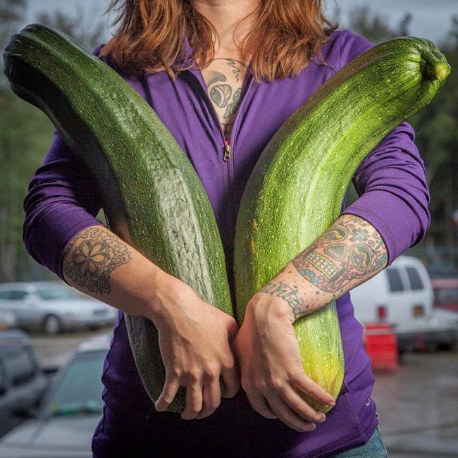 Giant vegetables in Alaska