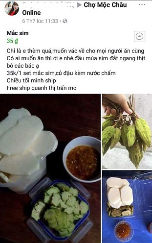 Đã chát lại chua, mắc sim rừng Tây Bắc vẫn được mua &#34;tơi tới&#34; - 4