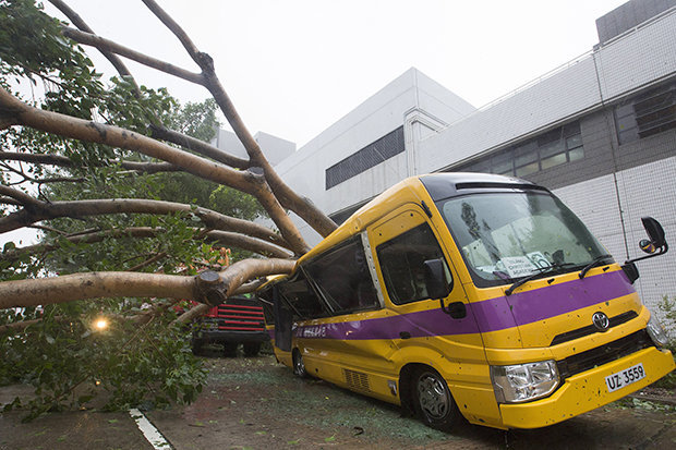 Video: Hai cha con bị siêu bão Mangkhut quật ngã, thổi bay ở Hong Kong - 2