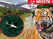 Thế giới - Nguy hiểm sống còn đe dọa đội tìm kiếm MH370 trong rừng rậm Campuchia