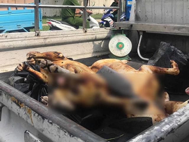 Thấy đoàn kiểm tra, người bán thịt chó ở Sài Gòn nháo nhào tháo chạy
