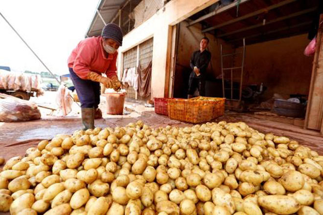 Chợ nông sản Đà Lạt vẫn tràn ngập khoai tây Trung Quốc - 1