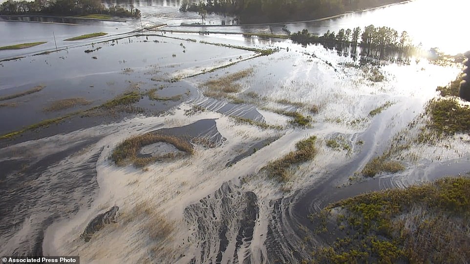 Dòng sông ở Mỹ bị đầu độc sau thảm họa siêu bão Florence - 1