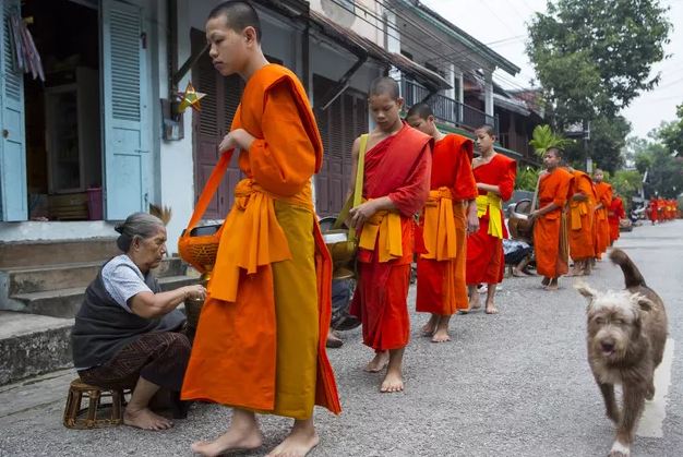 Những điểm đến đẹp nhất Đông Nam Á được UNESCO công nhận có tới 2 cái tên của Việt Nam - 2