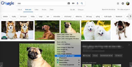 3 mẹo hay khi sử dụng Google Images - 3