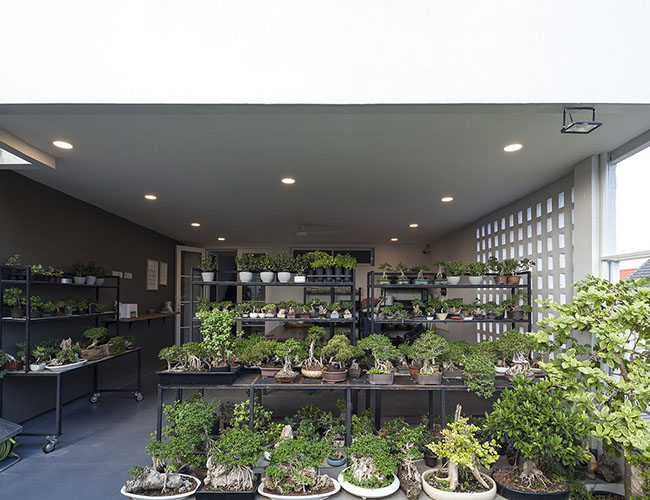 Không gian quan trọng nhất trong ngôi nhà là sân hiên bonsais, nơi chủ nhà thường dành thời gian mỗi ngày để chăm sóc