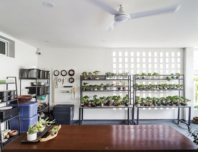 Một phòng riêng biệt để chăm sóc và trồng các cây bonsais