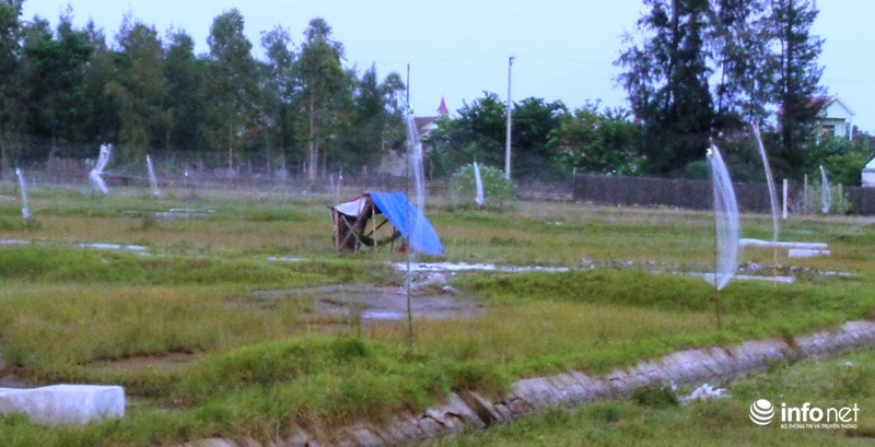 Tận diệt chim trời: Cận cảnh &#34;thiên la, địa võng&#34; giăng bắt chim, cò - 21