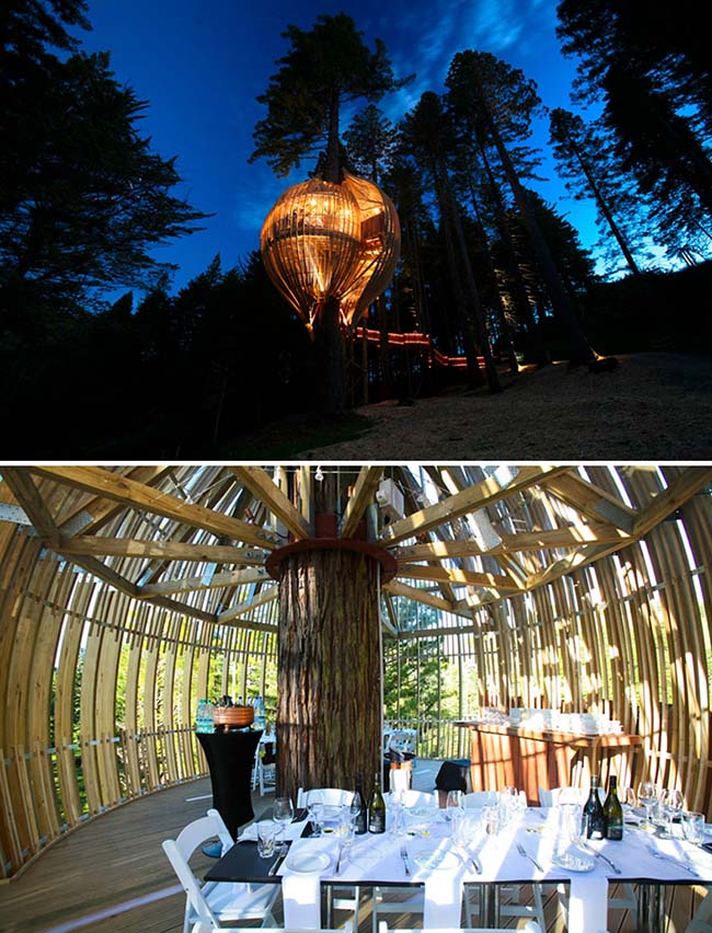 Tận hưởng bữa ăn lãng mạn trong ngôi nhà trên cây ở Redwoods Treehouse, Warkworth, New Zealand.