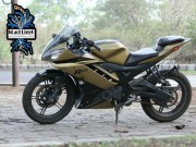 Thế giới xe - Yamaha YZF-R15 Version 2.0 &quot;đẹp xuất sắc&quot; trong màu đen vàng mờ