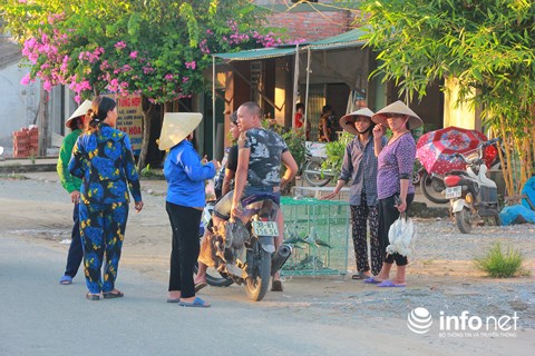 Chim trời nằm la liệt dọc đường, tràn lan ở chợ và trên... bàn nhậu - 4