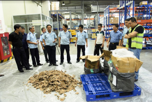 Bắt giữ hơn 1 tấn vảy tê tê, ngà voi tại sân bay Nội Bài - 1