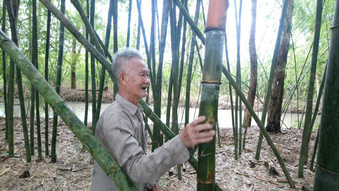 Lão nông 83 tuổi tăng thu nhập nhờ “níu kéo” lũy tre làng - 4