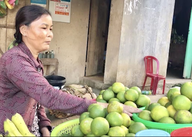 &#34;Thuần hóa&#34; trái hường - của quý của núi rừng thừa tiền mua cá thịt - 2