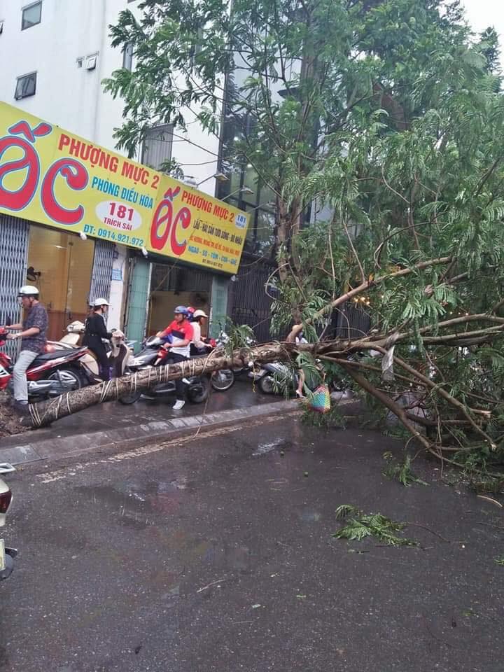 Hà Nội nổi giông lốc, một người đi đường bị cây đè - 2