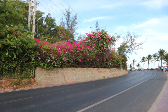 Bí kíp du lịch Mũi Né 3 ngày 2 đêm “rẻ mà chơi khỏe” - 2