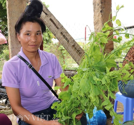 &#34;Thâm nhập&#34; chợ côn trùng - đặc sản núi rừng độc nhất đất Sơn La - 12