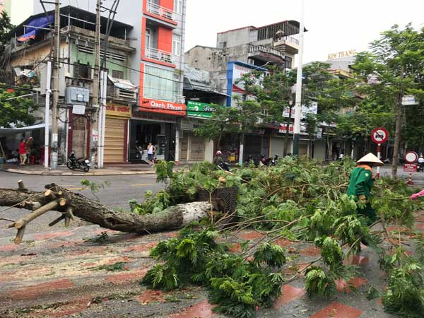 Bão số 2 đổ bộ đất liền, 2 người tử vong ở Thanh Hóa - 4