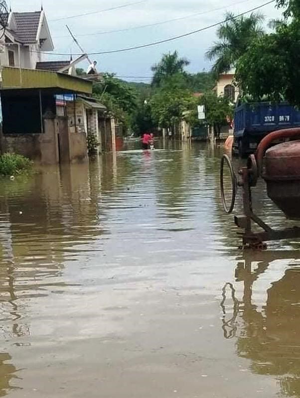 Bị lũ ống cuốn trôi, người đàn ông leo lên ngọn tre - 2