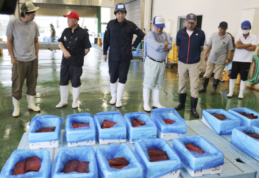 Đấu giá thịt cá voi tàu Nhật Bản lần đầu tiên đi săn được sau 31 năm - 1