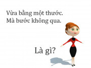 Giáo dục - du học - Thông minh đến mấy chắc gì giải được các câu đố này