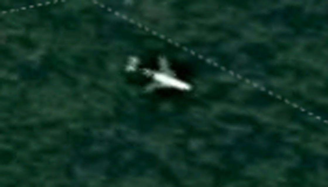 Bí ẩn sự mất tích của MH370: Máy bay rơi ở rừng Campuchia hay bị hố đen hút? - 1