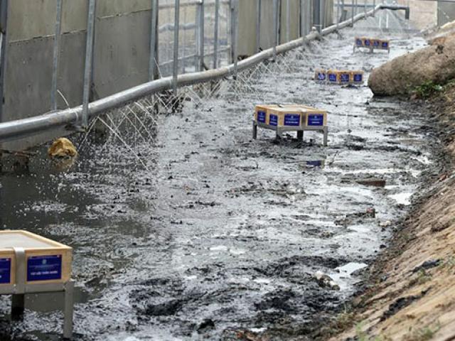 Nóng 24h qua: Con số cho thấy hiệu quả làm sạch sông Tô Lịch của “bảo bối” của Nhật Bản