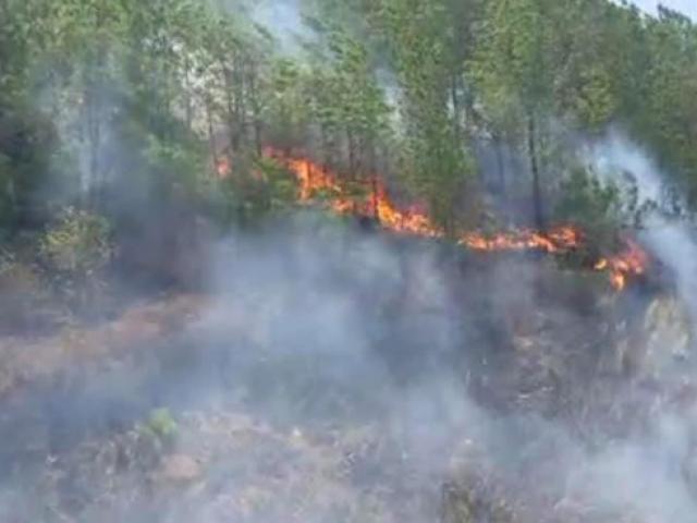 Nắng nóng quay trở lại, rừng ở Hà Tĩnh lại tiếp tục cháy lớn