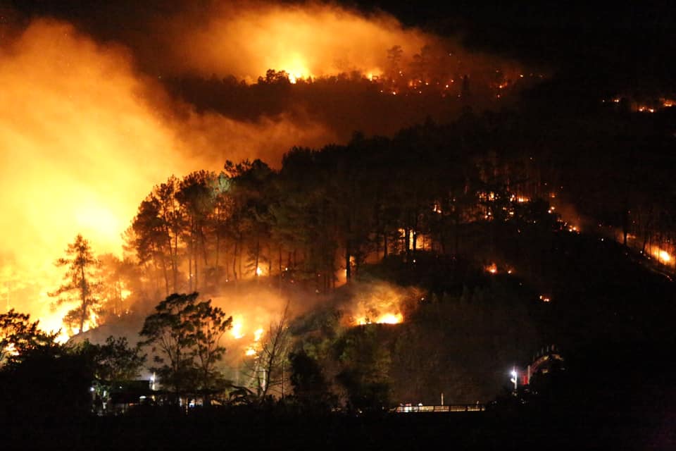 Rừng Hà Tĩnh lại cháy dữ dội, hàng trăm người lên núi Nầm dập lửa giữa đêm - 1